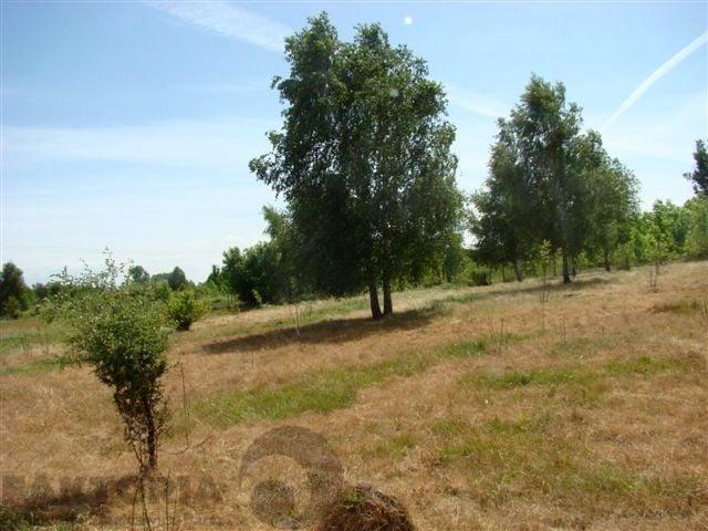 Działka 1 540 m², Stargard