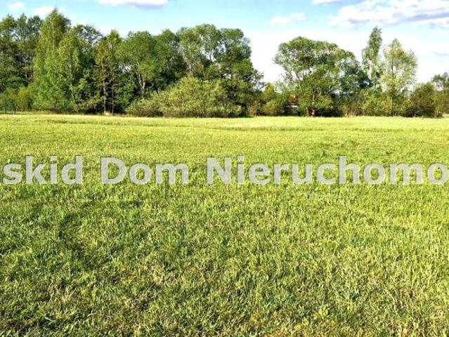 Działka 1 554 m², Twardorzeczka
