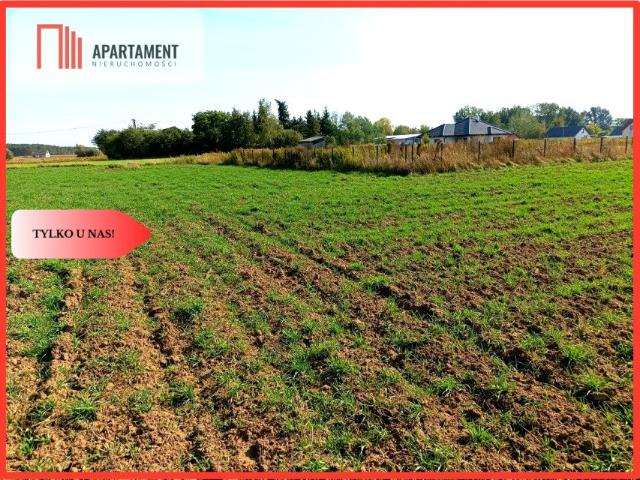 Działka 1 557 m², Toporzysko