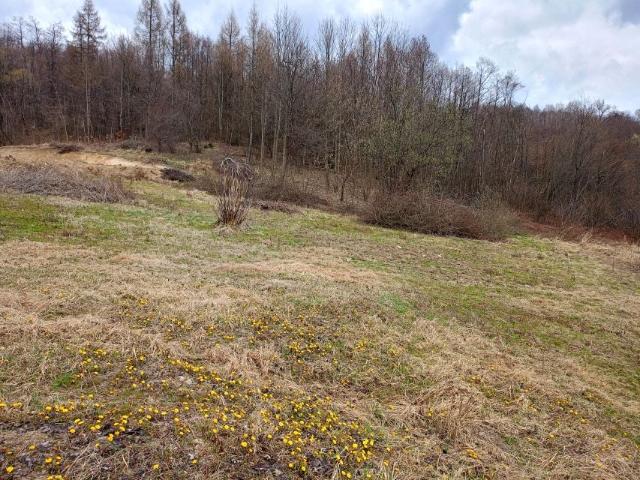 Działka 1 551 m², Zaborów