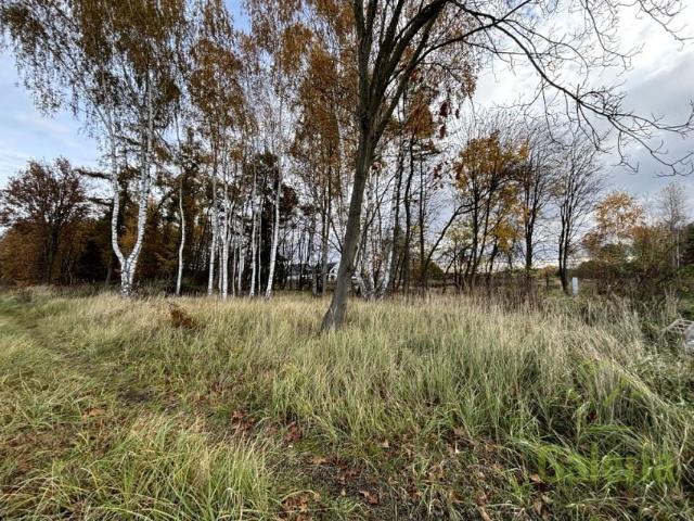 Działka 1 566 m², Niedźwiedź