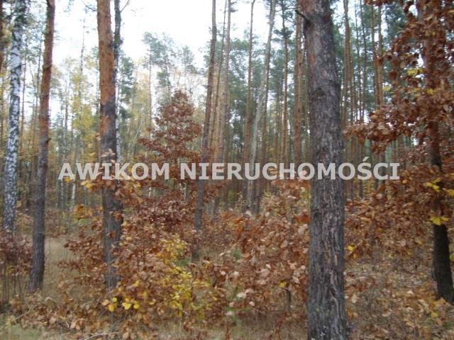 Działka 1 568 m², Ojrzanów