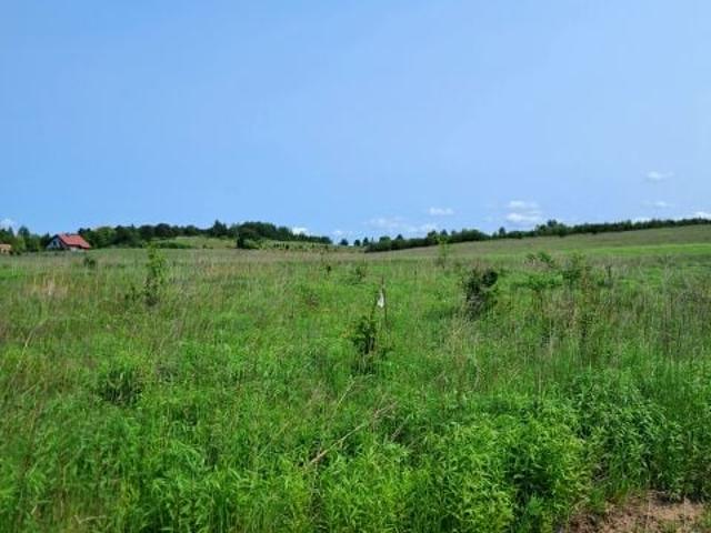 Działka 1 560 m², Romany