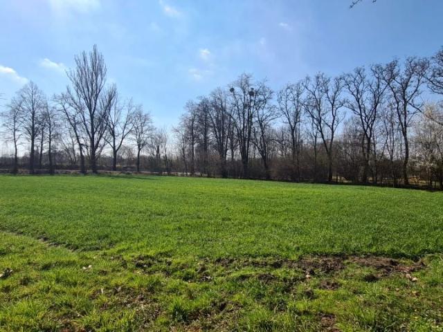 Działka 1 577 m², Frelichów