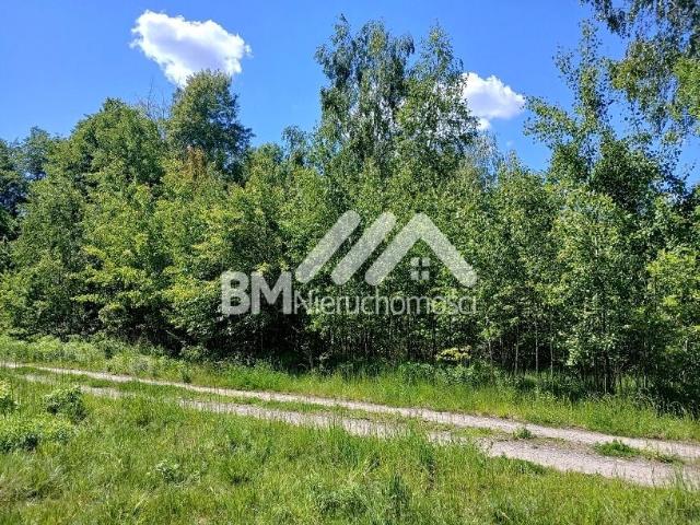 Działka 1 584 m², Adamowizna