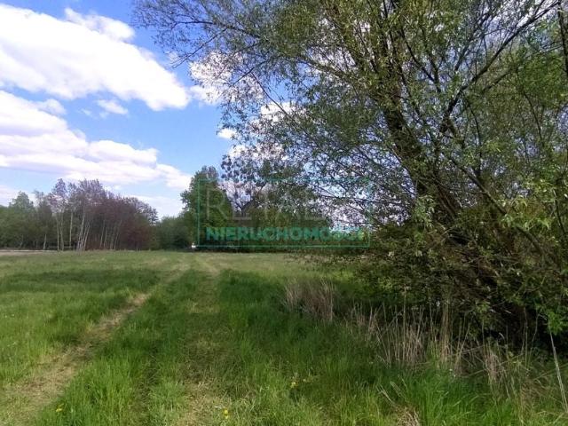 Działka 1 586 m², Chrzanów Mały