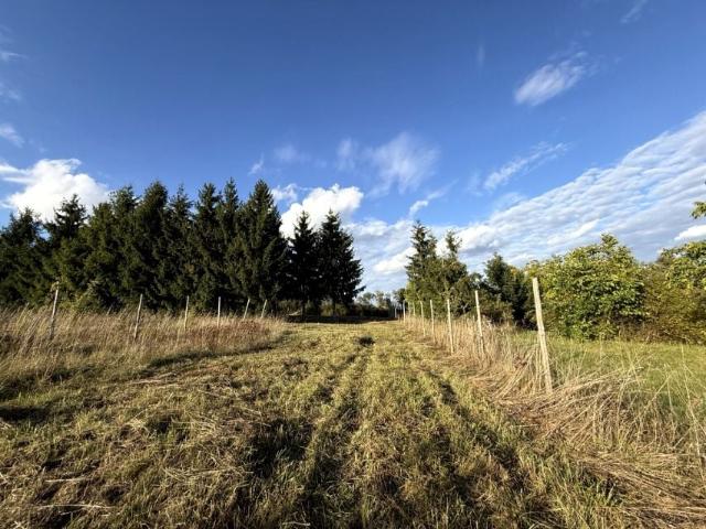 Działka 1 588 m², Wełtyń