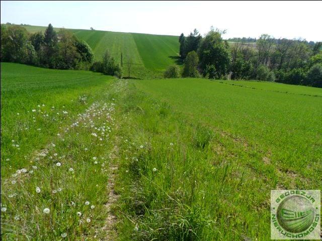 Działka 1 583 m², Władysław