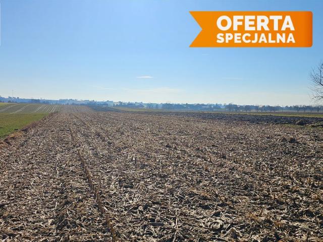 Działka 1,5 ha z zabudową i zielenią w Smrokowie