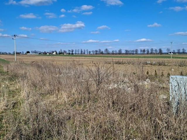 Działka 1 604 m², Prandocin Iły