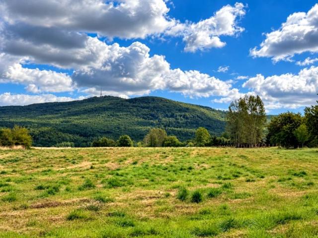 Działka 1 605 m², Biała
