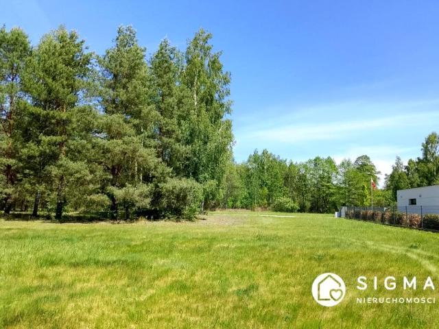 Działka 1 600 m², Czarny Las
