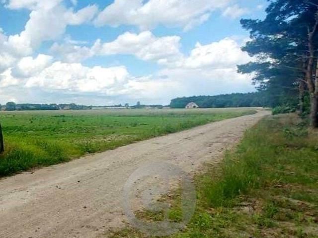 Działka 1 600 m², Dziersławice