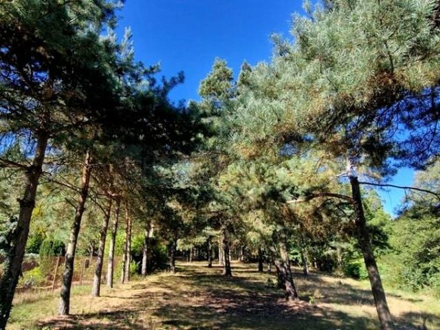 Działka 1 600 m², Kazuń Bielany