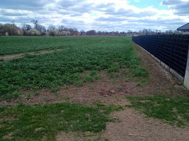 Działka 1 600 m², Kraśnik Górny