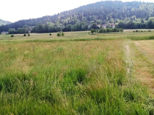 Działka 1 600 m², Słotwina