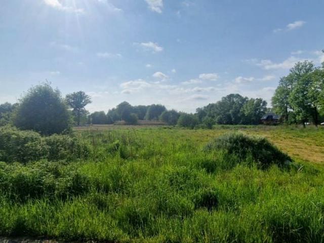 Działka 1 600 m², Sieniawa Żarska