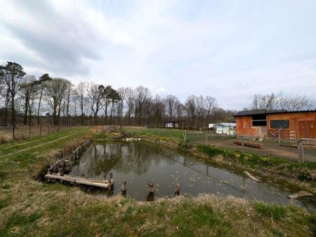 Działka 1 600 m², Wałdowo Królewskie