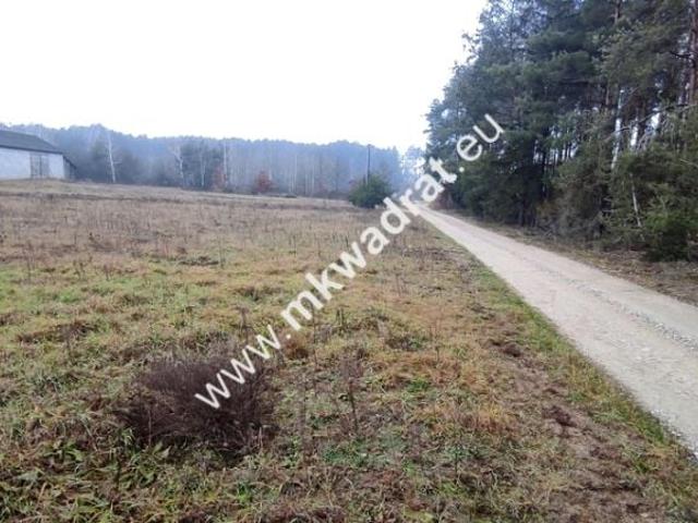 Działka 1 600 m², Tłumy