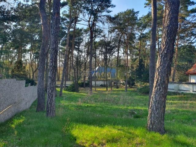 Akacjowa 1 619 m², Łomianki