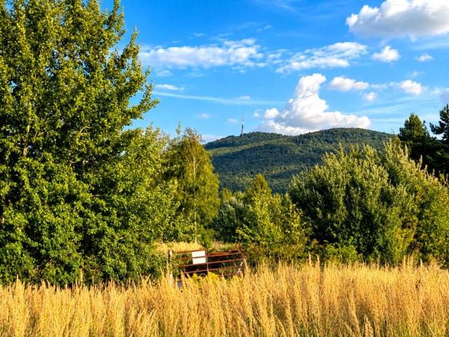 Działka 1 625 m², Biała