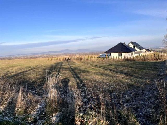 Działka 1 625 m², Pieszyce