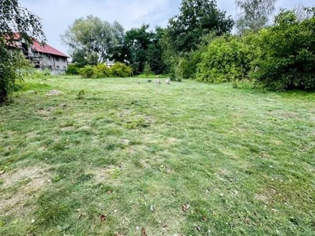 Działka 1 638 m², Domaniewek
