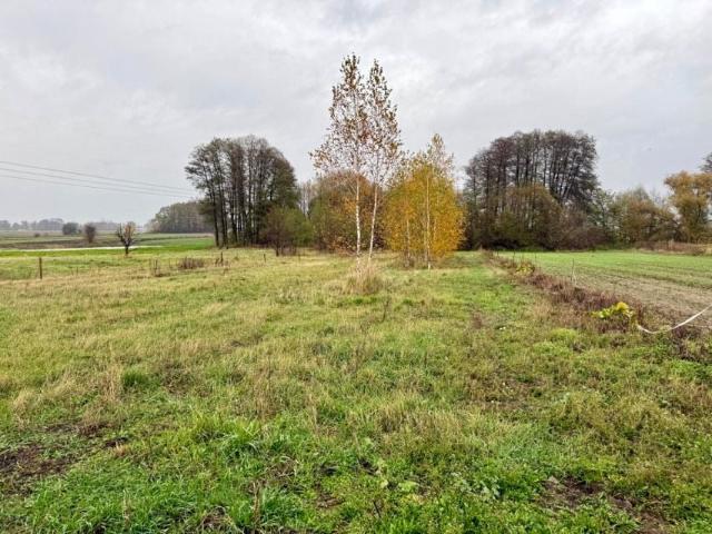 Działka 1 654 m², Bramki