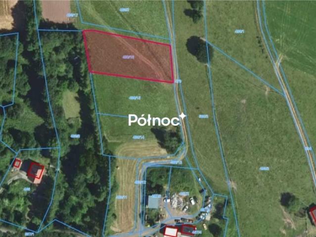 Działka 1 667 m², Świerki Kłodzkie