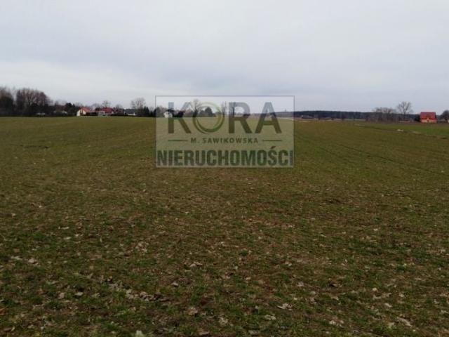 Działka 1 668 m², Lulkowo