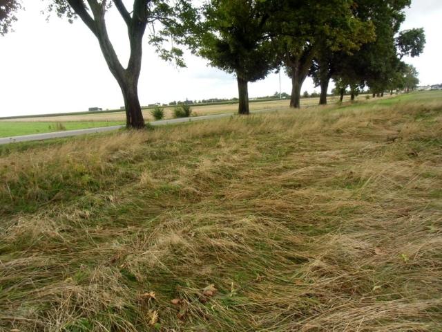 Działka 1 660 m², Łebcz