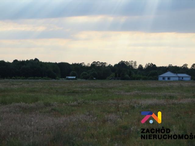 Działka 1,6 ha w Ochli z dostępem do drogi i uzbrojeniem