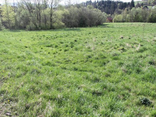 Działka 1,6 ha z widokami w sercu Beskidu Wysokiego