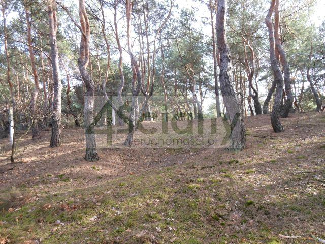 Działka 1 705 m², Legionowo