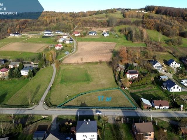 Działka 1 700 m², Borek Stary