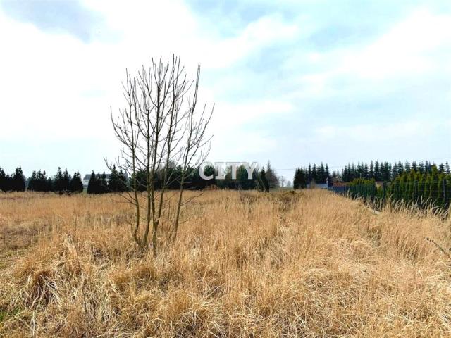 Działka 1 000 m², Ozorzyce
