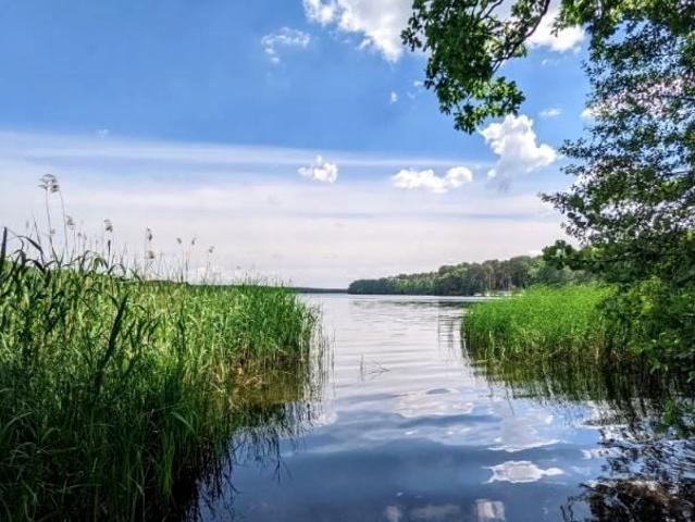 Działka 1 700 m², Sława