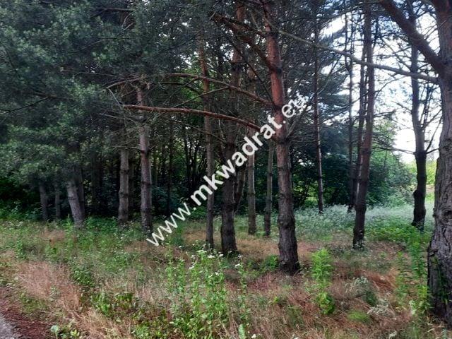 Działka 1 700 m², Strzeniówka