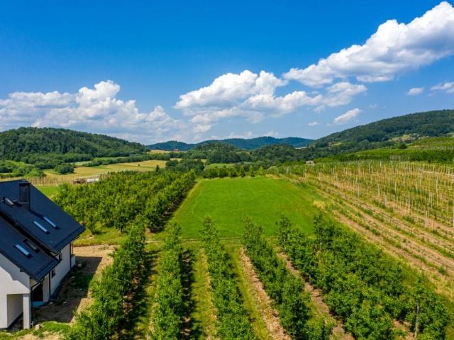 Działka 1 700 m², Wola Kosnowa