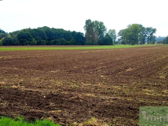 Działka 1 725 m², Rożnowo Nowogardzkie