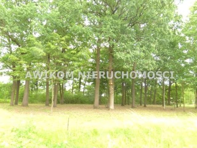 Działka 1 725 m², Rusiec