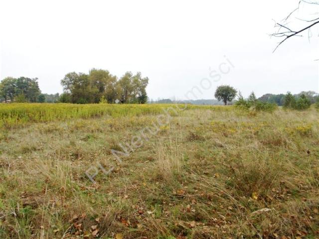 Działka 1 726 m², Poświętne