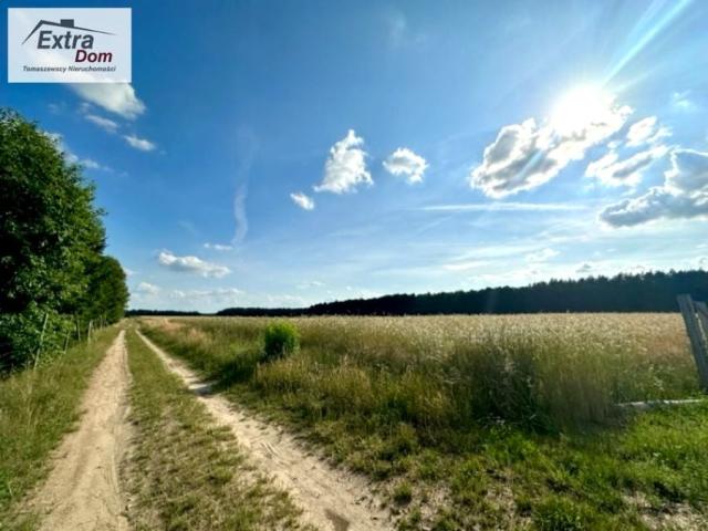 Działka 1 743 m², Rotnowo
