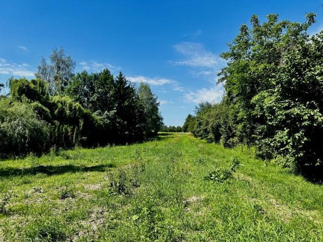 Działka 1 750 m², Kawęczyn