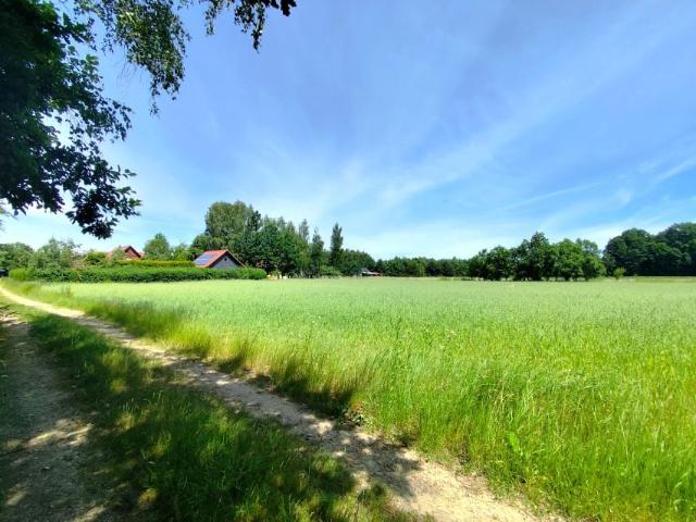Działka 1 765 m², Czerwone Łąki