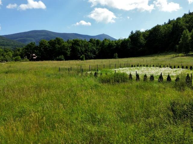 Działka 1 763 m², Karpacz