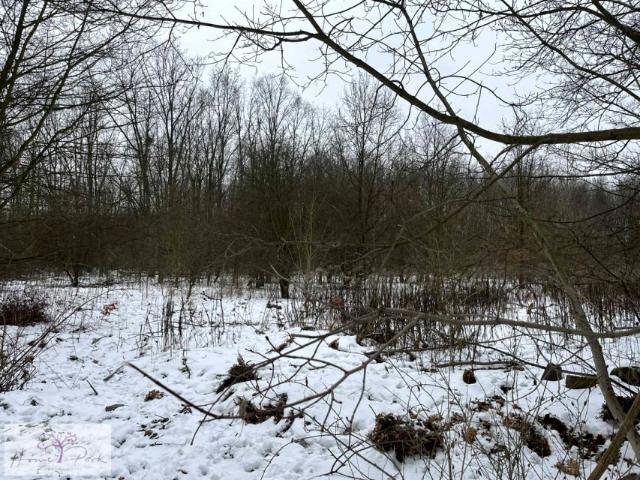 Działka 1 770 m², Łódź