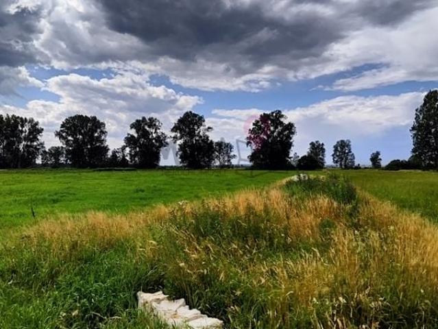 Działka 1 788 m², Rurzyca