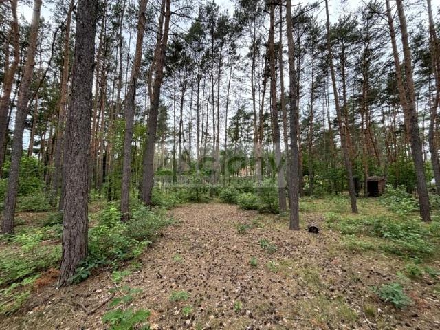 Działka 1 789 m², Nowe Załubice