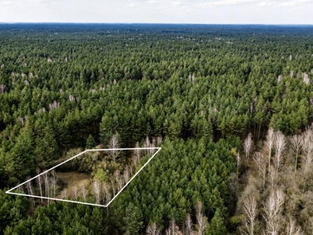 Działka 1 800 m², Orłowo